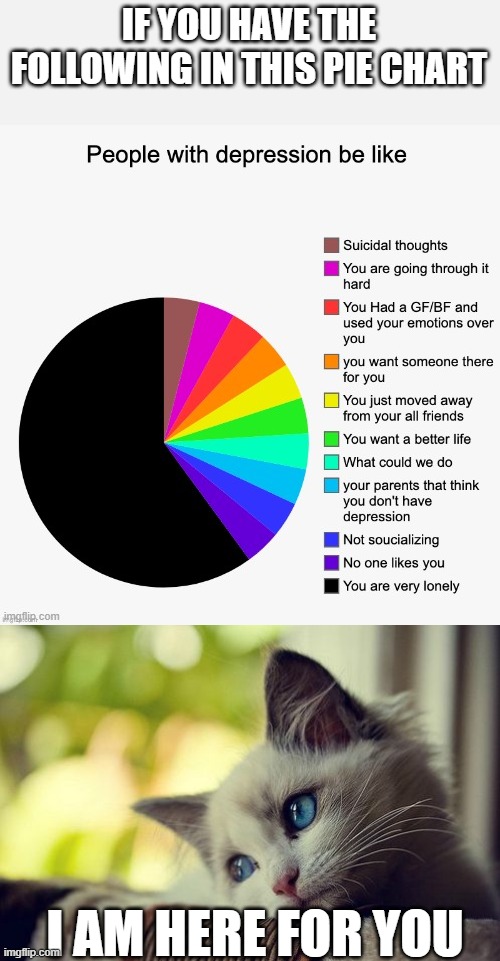 IF YOU HAVE THE FOLLOWING IN THIS PIE CHART; I AM HERE FOR YOU | image tagged in memes,first world problems cat | made w/ Imgflip meme maker