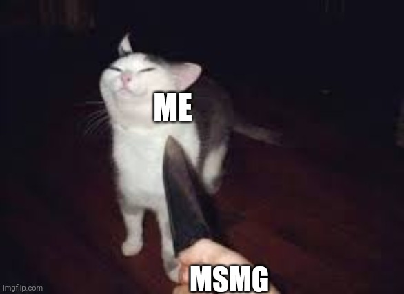 Wonder why | ME; MSMG | image tagged in cat knife | made w/ Imgflip meme maker