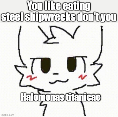 and this is why the titanic will be gone in the next 30 years | You like eating steel shipwrecks don't you; Halomonas titanicae | image tagged in you like kissing boys,fun | made w/ Imgflip meme maker
