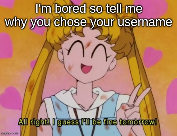 I guess I'll be fine tomorrow | I'm bored so tell me why you chose your username | image tagged in i guess i'll be fine tomorrow | made w/ Imgflip meme maker
