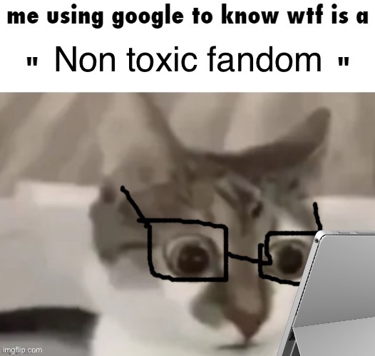 Fun ahh meme ik | Non toxic fandom | image tagged in me using google to know wtf is a x | made w/ Imgflip meme maker