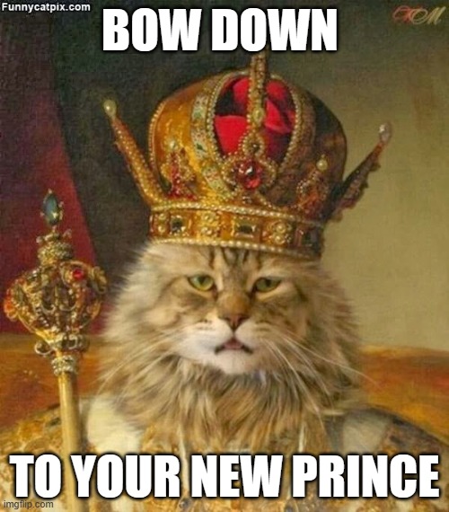 BOW DOWN; TO YOUR NEW PRINCE | made w/ Imgflip meme maker