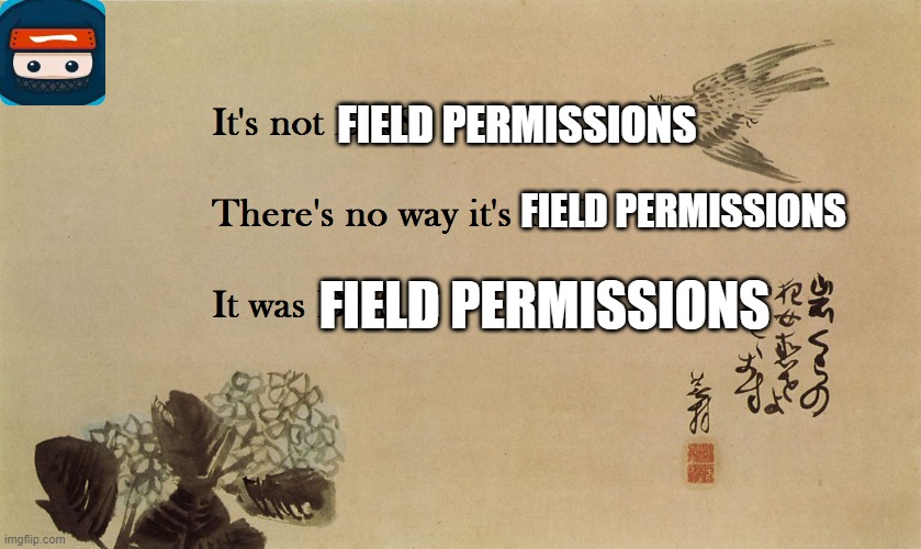 Its always DNS | FIELD PERMISSIONS; FIELD PERMISSIONS; FIELD PERMISSIONS | image tagged in its always dns | made w/ Imgflip meme maker