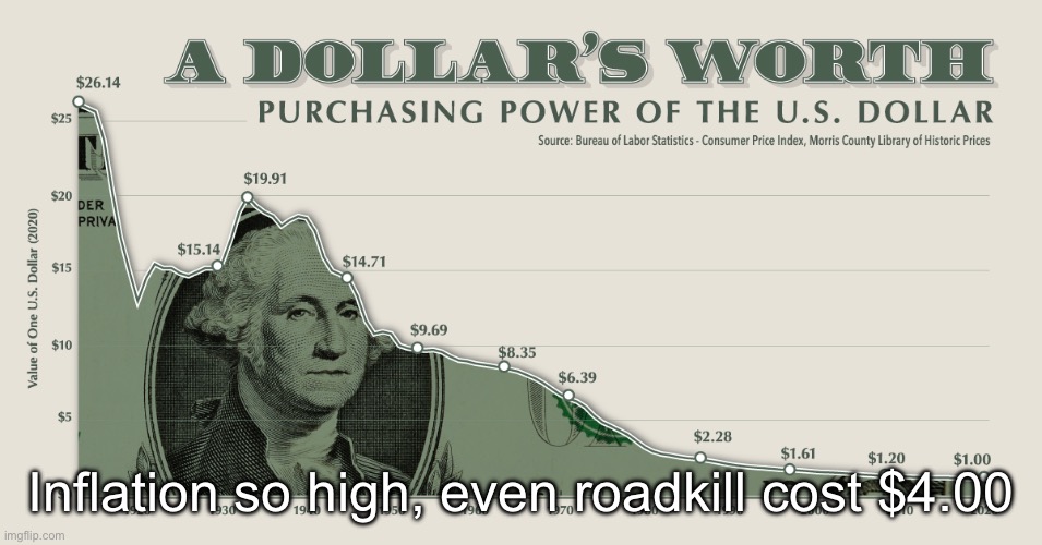 Dollar Inflation | Inflation so high, even roadkill cost $4.00 | image tagged in dollar inflation | made w/ Imgflip meme maker