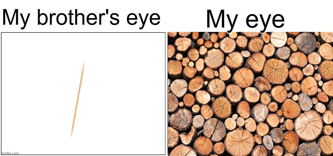 I need to take the wood out of my eye before I take it out of my brother. | My brother's eye; My eye | image tagged in memes,blank comic panel 2x1,toothpick,wood,bible,bible verse | made w/ Imgflip meme maker