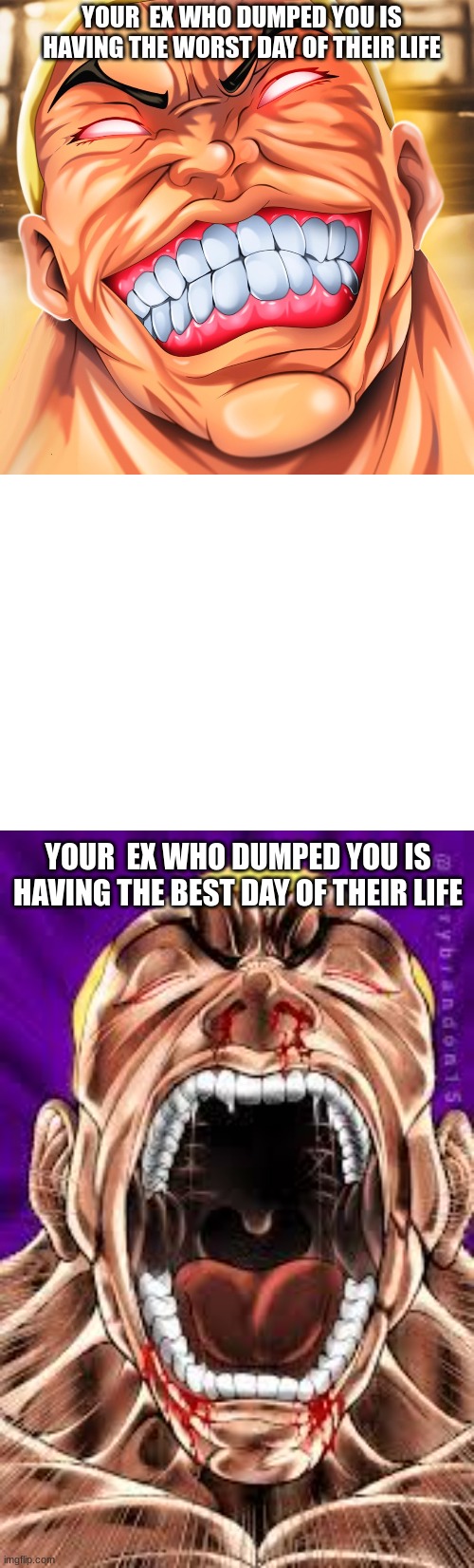 When your ex has the worst day of their life | YOUR  EX WHO DUMPED YOU IS HAVING THE WORST DAY OF THEIR LIFE; YOUR  EX WHO DUMPED YOU IS HAVING THE BEST DAY OF THEIR LIFE | image tagged in funny memes | made w/ Imgflip meme maker