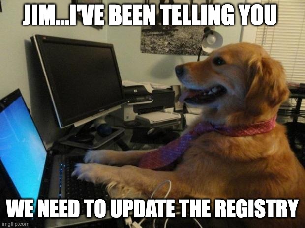 Registry Update | JIM...I'VE BEEN TELLING YOU; WE NEED TO UPDATE THE REGISTRY | image tagged in dog behind a computer | made w/ Imgflip meme maker