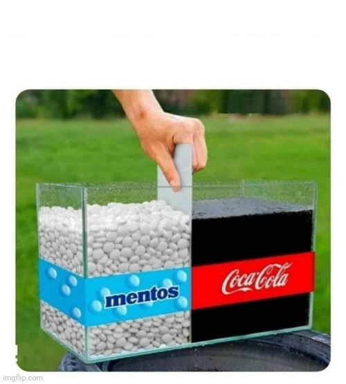 Mentos and Coke | image tagged in mentos and coke | made w/ Imgflip meme maker