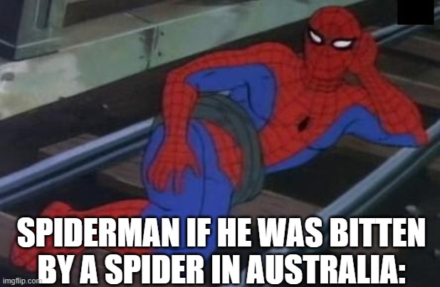 Sexy Railroad Spiderman | SPIDERMAN IF HE WAS BITTEN BY A SPIDER IN AUSTRALIA: | image tagged in memes,sexy railroad spiderman,spiderman,funny,funny memes,relatable | made w/ Imgflip meme maker