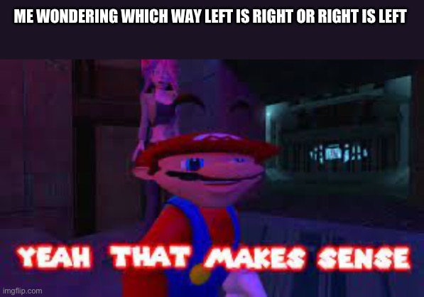 yeah that makes sense | ME WONDERING WHICH WAY LEFT IS RIGHT OR RIGHT IS LEFT | image tagged in yeah that makes sense | made w/ Imgflip meme maker