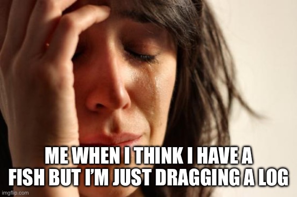 First World Problems Meme | ME WHEN I THINK I HAVE A FISH BUT I’M JUST DRAGGING A LOG | image tagged in memes,first world problems | made w/ Imgflip meme maker