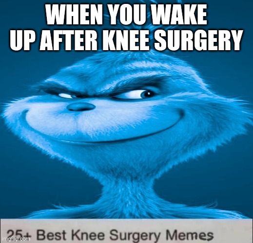 Blue Grinch Knee Surgery template | WHEN YOU WAKE UP AFTER KNEE SURGERY | image tagged in blue grinch knee surgery template | made w/ Imgflip meme maker