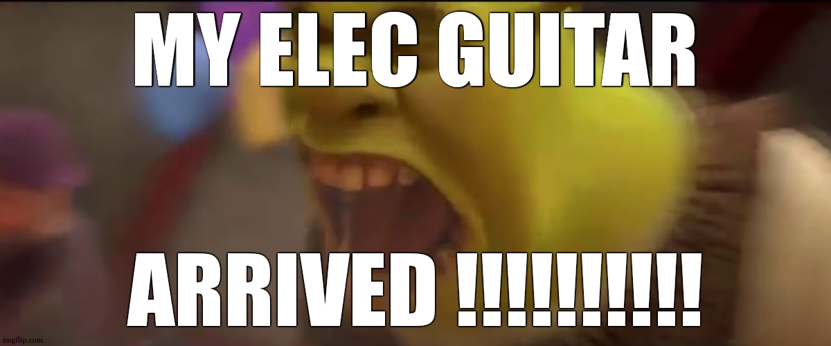 Forgot to takes pics and idk if ill be able to , but for those who want to know , its a Squier | MY ELEC GUITAR; ARRIVED !!!!!!!!!! | image tagged in shrek screaming | made w/ Imgflip meme maker