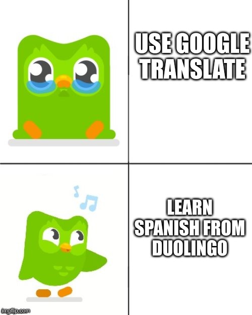 daily dose of duolingo memes | USE GOOGLE TRANSLATE; LEARN SPANISH FROM DUOLINGO | image tagged in duolingo drake meme | made w/ Imgflip meme maker