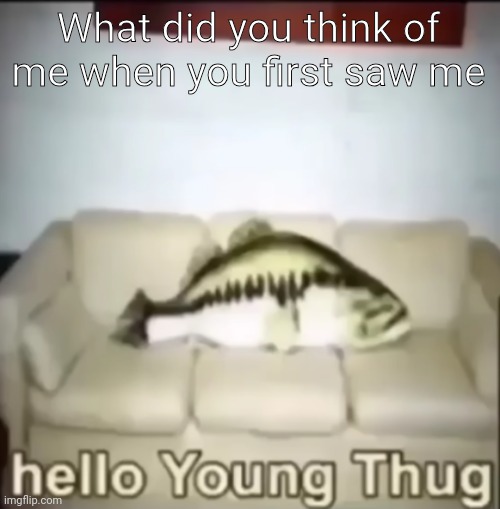 Hello Young Thug | What did you think of me when you first saw me | image tagged in hello young thug | made w/ Imgflip meme maker