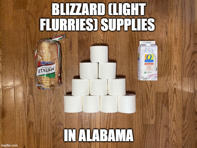 Bread, Milk, Toilet Paper | BLIZZARD (LIGHT FLURRIES) SUPPLIES; IN ALABAMA | image tagged in bread milk toilet paper | made w/ Imgflip meme maker