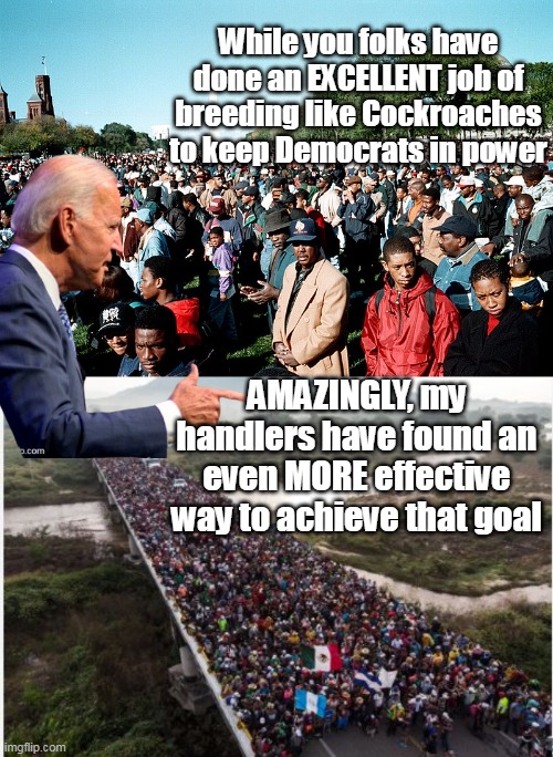 However, we WILL still call you every four years . . . | While you folks have done an EXCELLENT job of breeding like Cockroaches to keep Democrats in power; AMAZINGLY, my handlers have found an even MORE effective way to achieve that goal | image tagged in biden replacement theory in action | made w/ Imgflip meme maker