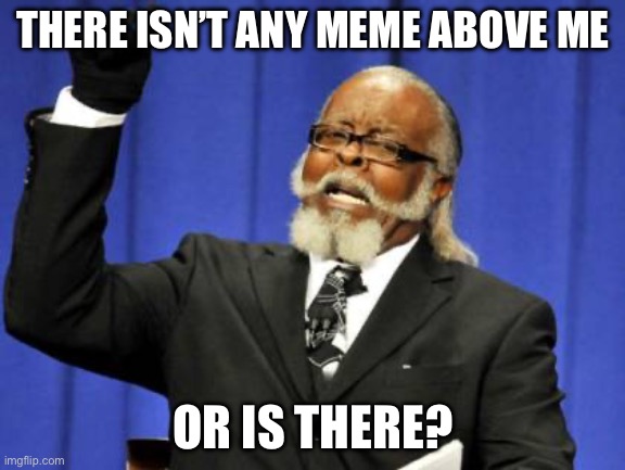Too Damn High | THERE ISN’T ANY MEME ABOVE ME; OR IS THERE? | image tagged in memes,too damn high | made w/ Imgflip meme maker