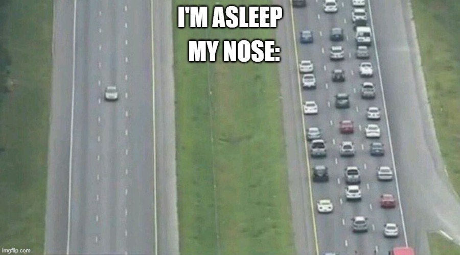 Car Driving Alone | MY NOSE:; I'M ASLEEP | image tagged in car driving alone,sleeping,nose,relatable memes | made w/ Imgflip meme maker