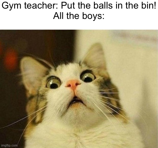 Scared Cat Meme | Gym teacher: Put the balls in the bin!
All the boys: | image tagged in memes,scared cat | made w/ Imgflip meme maker