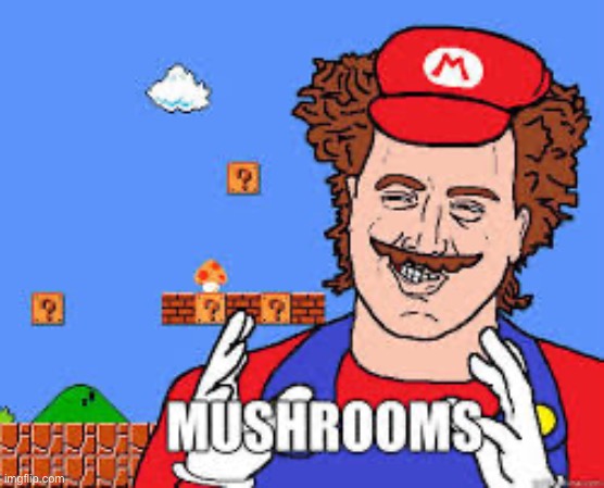Mushrooms | image tagged in mushrooms | made w/ Imgflip meme maker