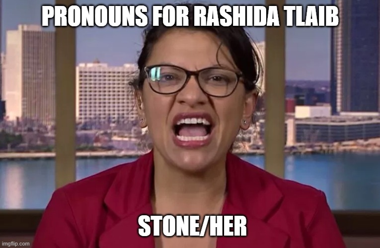 Rashida Tlaib | PRONOUNS FOR RASHIDA TLAIB; STONE/HER | image tagged in democrats,terrorist,pronouns,muslim | made w/ Imgflip meme maker