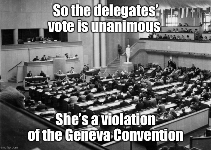 Geneva Convention | So the delegates’ vote is unanimous She’s a violation of the Geneva Convention | image tagged in geneva convention | made w/ Imgflip meme maker
