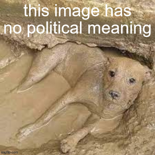 prove me wrong | this image has no political meaning | image tagged in mud dog | made w/ Imgflip meme maker