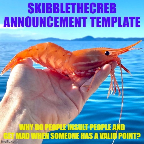 WHY DO PEOPLE INSULT PEOPLE AND GET MAD WHEN SOMEONE HAS A VALID POINT? | image tagged in skibblethecreb announcement template | made w/ Imgflip meme maker