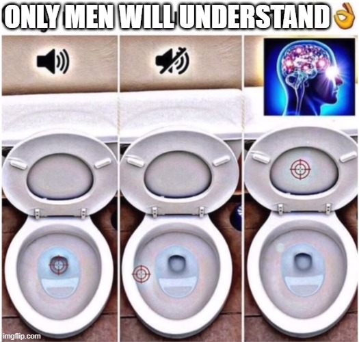 Men we have a FIX | ONLY MEN WILL UNDERSTAND | image tagged in toilet,men,piss | made w/ Imgflip meme maker