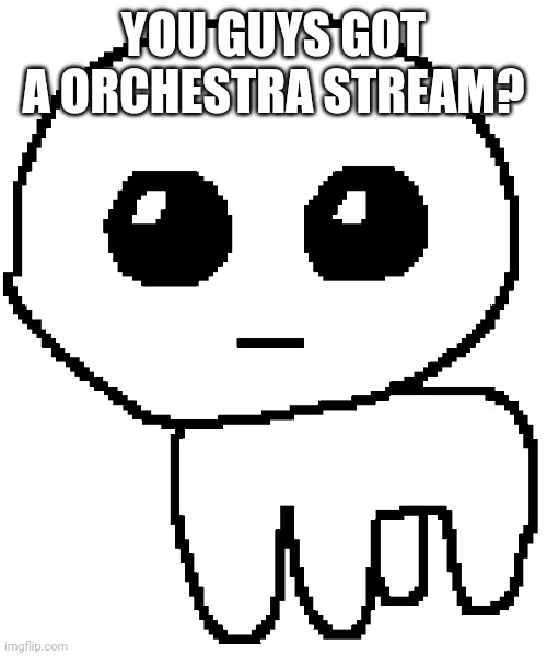 Orchestra | YOU GUYS GOT A ORCHESTRA STREAM? | image tagged in yippee | made w/ Imgflip meme maker