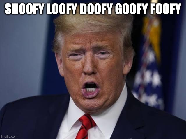 ch ch CHYNAA | SHOOFY LOOFY DOOFY GOOFY FOOFY | image tagged in ch ch chynaa | made w/ Imgflip meme maker