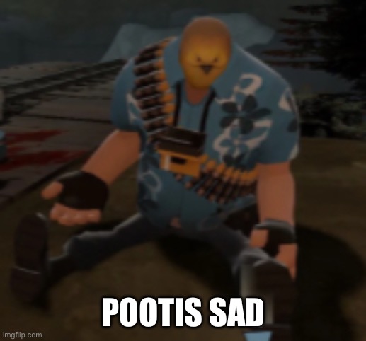 Sad Pootis bird | POOTIS SAD | image tagged in sad pootis bird | made w/ Imgflip meme maker