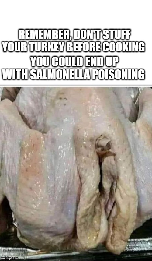 turkey | YOU COULD END UP WITH SALMONELLA POISONING; REMEMBER, DON'T STUFF YOUR TURKEY BEFORE COOKING | image tagged in turkey,raw,stuffing,change my mind | made w/ Imgflip meme maker