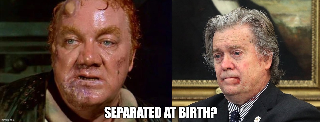 SEPARATED AT BIRTH? | image tagged in baron harkonnen,steve bannon | made w/ Imgflip meme maker