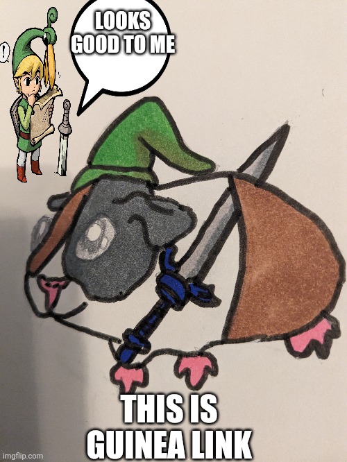Guinea Link drawing | LOOKS GOOD TO ME; THIS IS GUINEA LINK | image tagged in one does not simply | made w/ Imgflip meme maker