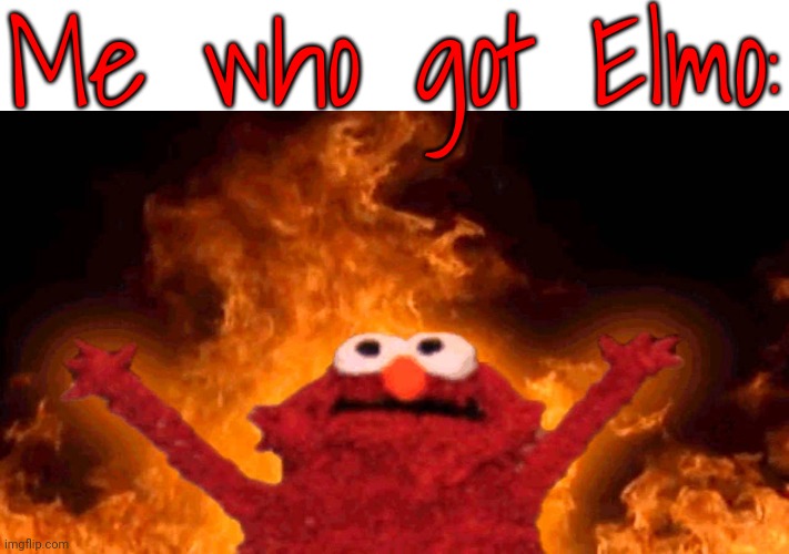 elmo fire | Me who got Elmo: | image tagged in elmo fire | made w/ Imgflip meme maker