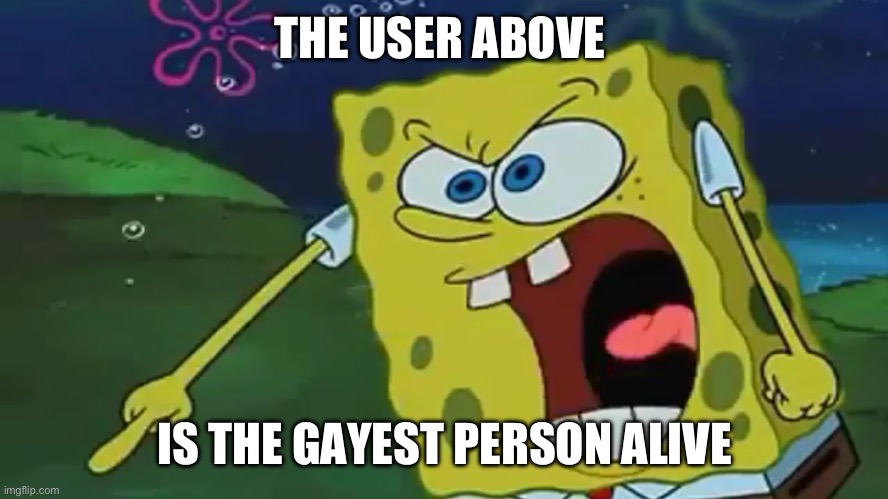 SpongeBob pointing | THE USER ABOVE; IS THE GAYEST PERSON ALIVE | image tagged in spongebob pointing | made w/ Imgflip meme maker