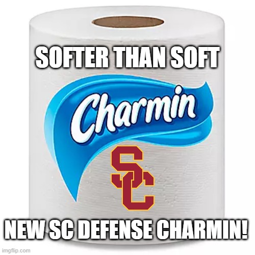 charmin sc | SOFTER THAN SOFT; NEW SC DEFENSE CHARMIN! | image tagged in college football | made w/ Imgflip meme maker