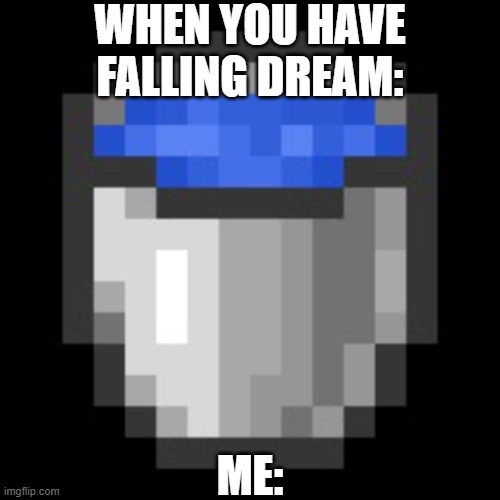 Water Bucket Minecraft(Updated) | WHEN YOU HAVE FALLING DREAM:; ME: | image tagged in water bucket minecraft updated | made w/ Imgflip meme maker