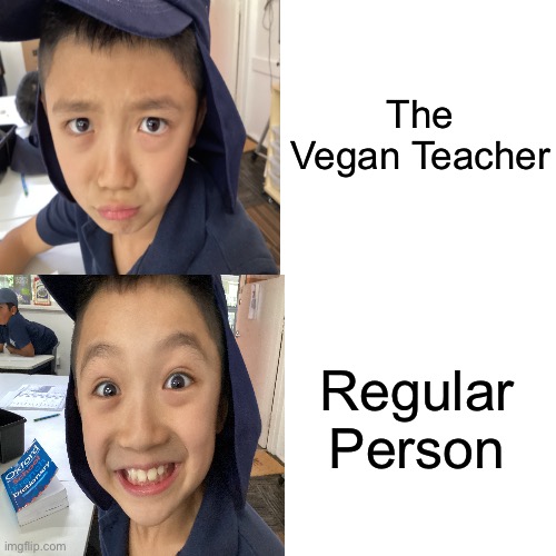 I tree stump | The Vegan Teacher; Regular Person | image tagged in memes,drake hotline bling | made w/ Imgflip meme maker