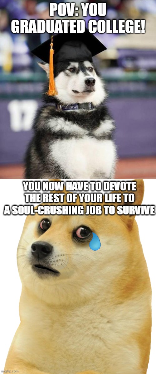 Life Sux | POV: YOU GRADUATED COLLEGE! YOU NOW HAVE TO DEVOTE THE REST OF YOUR LIFE TO A SOUL-CRUSHING JOB TO SURVIVE | image tagged in graduate dog,depressed doge | made w/ Imgflip meme maker
