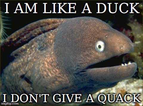 Bad Joke Eel | I AM LIKE A DUCK I DON'T GIVE A QUACK | image tagged in memes,bad joke eel | made w/ Imgflip meme maker