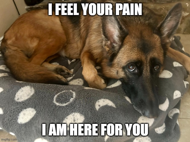 I FEEL YOUR PAIN; I AM HERE FOR YOU | made w/ Imgflip meme maker