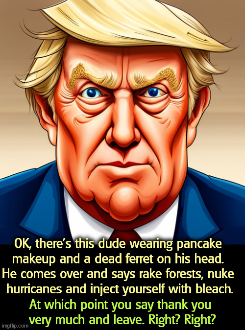 OK, there's this dude wearing pancake 
makeup and a dead ferret on his head. 
He comes over and says rake forests, nuke 
hurricanes and inject yourself with bleach. At which point you say thank you 
very much and leave. Right? Right? | made w/ Imgflip meme maker