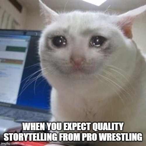 Crying cat | WHEN YOU EXPECT QUALITY STORYTELLING FROM PRO WRESTLING | image tagged in crying cat | made w/ Imgflip meme maker