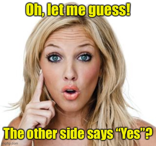 Dumb blonde | Oh, let me guess! The other side says “Yes”? | image tagged in dumb blonde | made w/ Imgflip meme maker