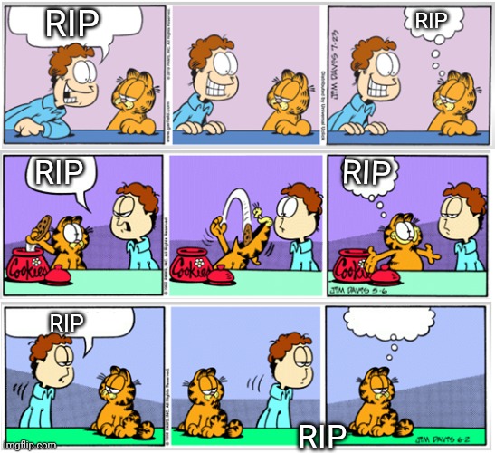 Garfield comic vacation 2 | RIP RIP RIP RIP RIP RIP | image tagged in garfield comic vacation 2 | made w/ Imgflip meme maker