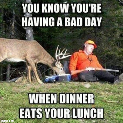 Bad day | image tagged in repost,bad day | made w/ Imgflip meme maker