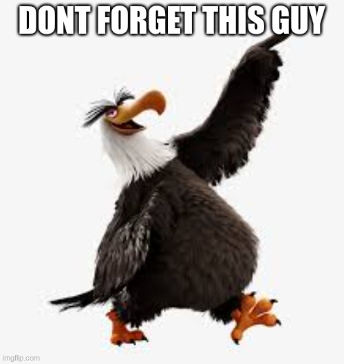 angry birds eagle | DONT FORGET THIS GUY | image tagged in angry birds eagle | made w/ Imgflip meme maker